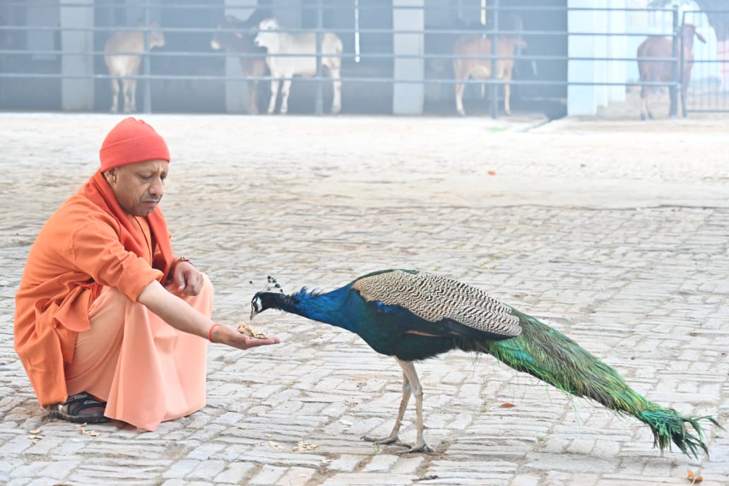 Chief Minister Yogi Adityanath met people in Janta Darshan in Gorakhnath Temple