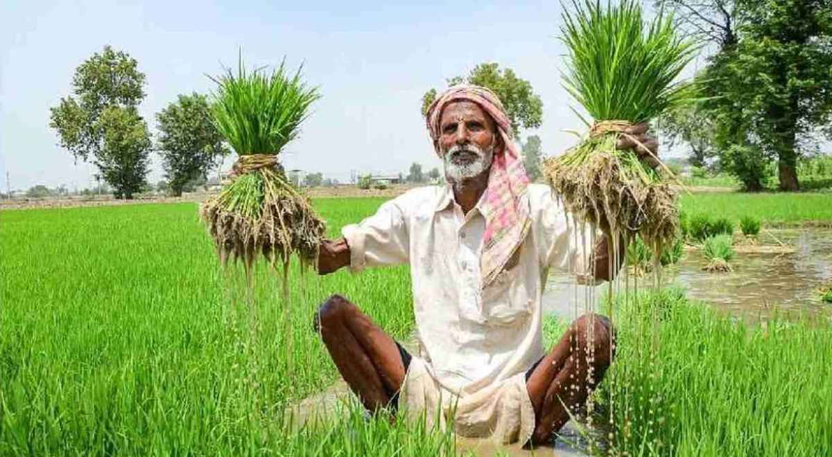 Million Farmers School realizing the slogan Lab to Land